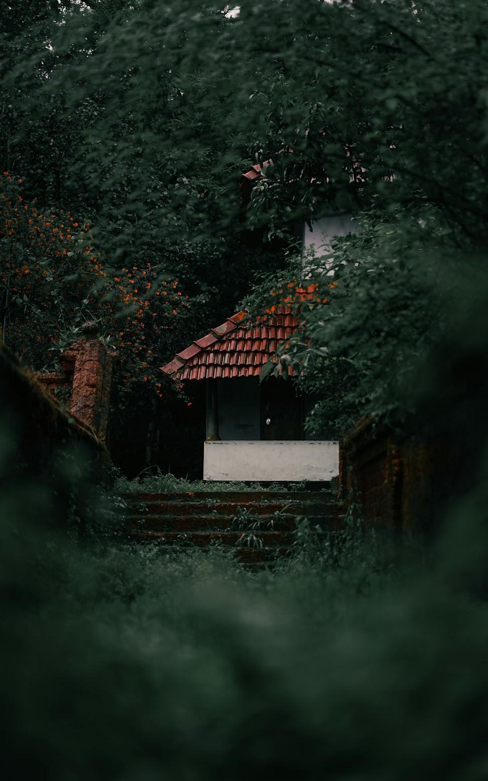 Muskoka Retreat